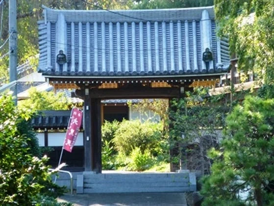 佐倉市 妙隆寺