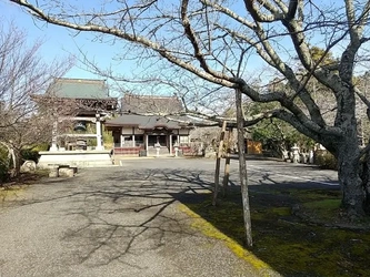 長い歴史の寺院