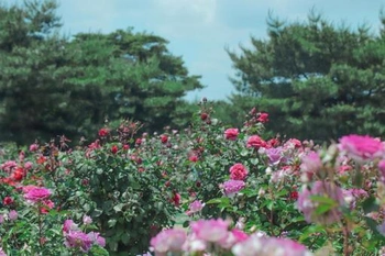 美しい霊園の景観