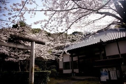 木更津市 祥雲寺桜台墓苑