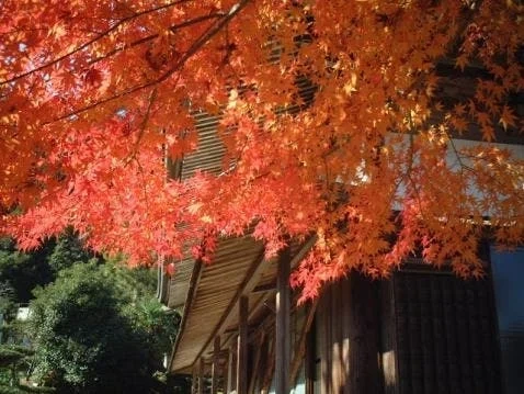 東漸寺墓苑 