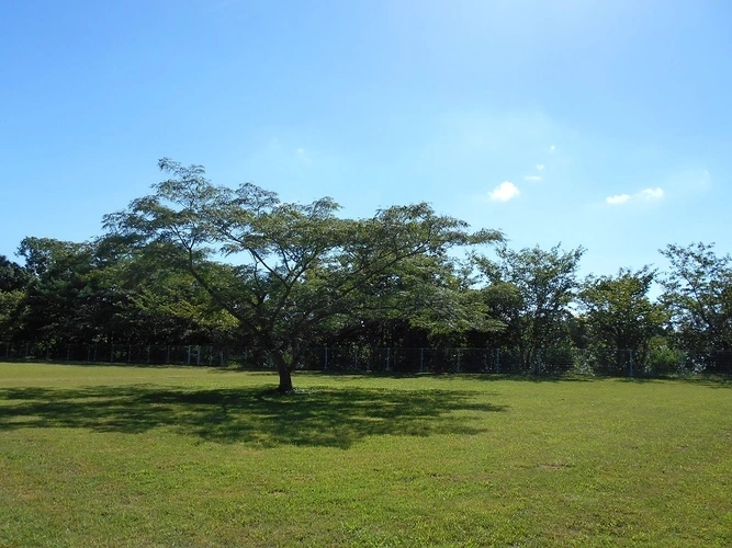 成田メモリアルパーク 樹木葬・永代供養墓 園内風景