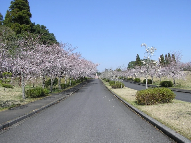 成田メモリアルパーク 樹木葬・永代供養墓 園内風景