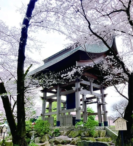 やくし霊園（薬師寺） 