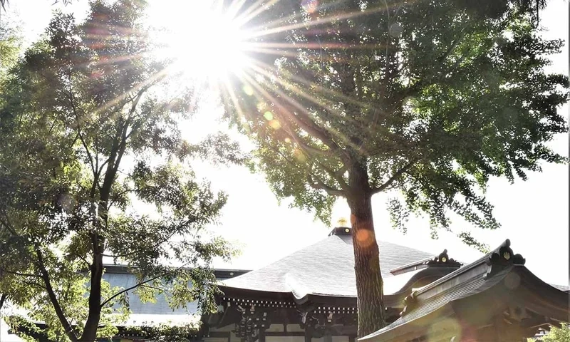 やくし霊園（薬師寺） 