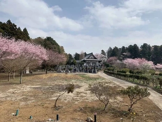 古河市にある寺院墓地