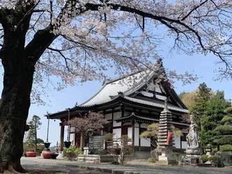歴史ある寺が見守る永代供養墓