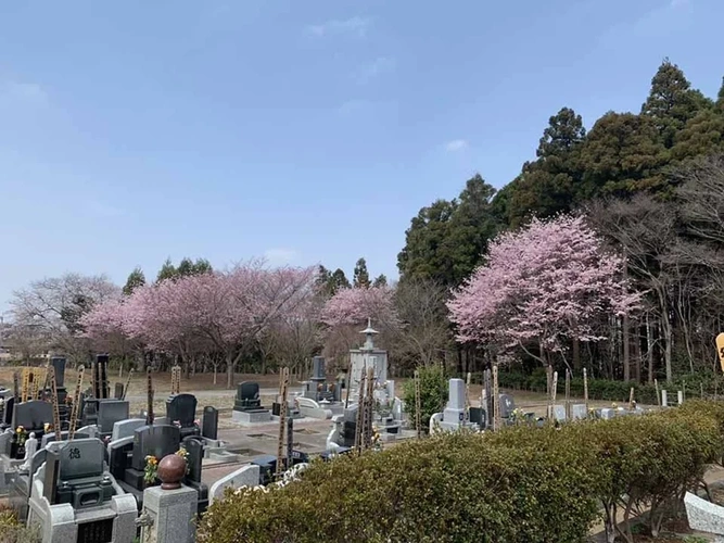 古河さくらの郷 樹木葬墓地 