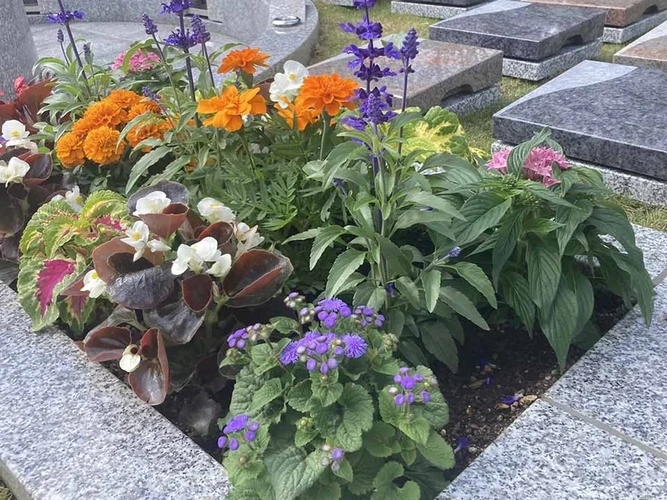 古河さくらの郷 樹木葬墓地 