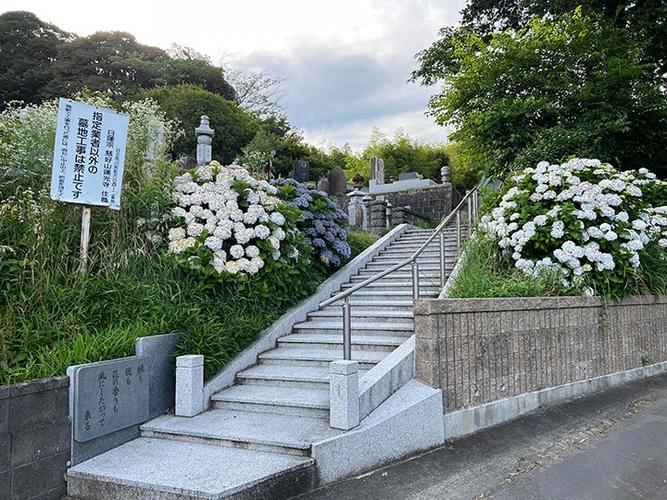 蓮光寺 のうこつぼ 