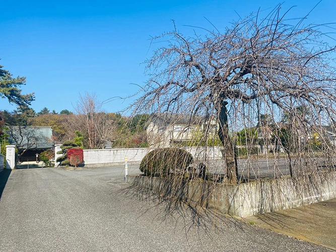 西念寺 のうこつぼ 