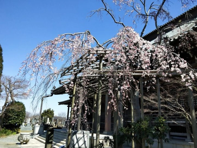 報国寺 のうこつぼ 