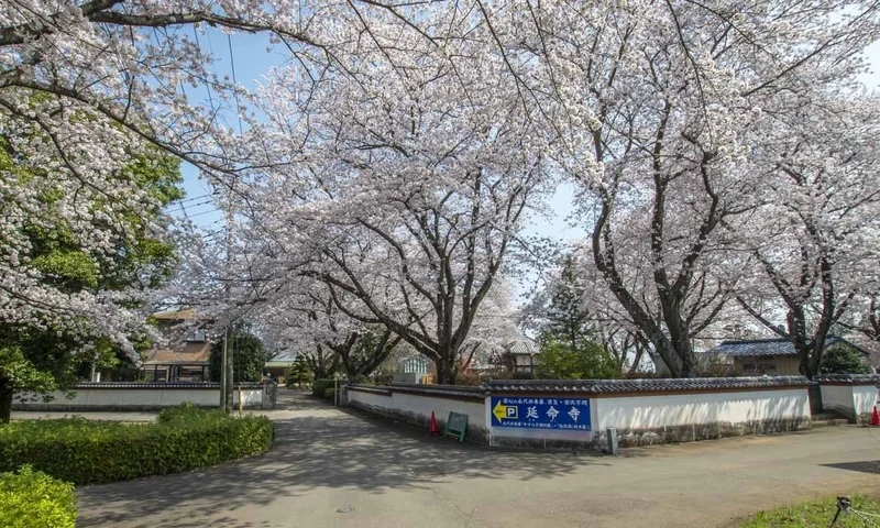 延命寺墓苑 永代供養墓・樹木葬 