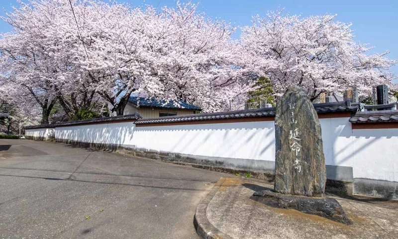 北相馬郡利根町 延命寺墓苑 永代供養墓・樹木葬