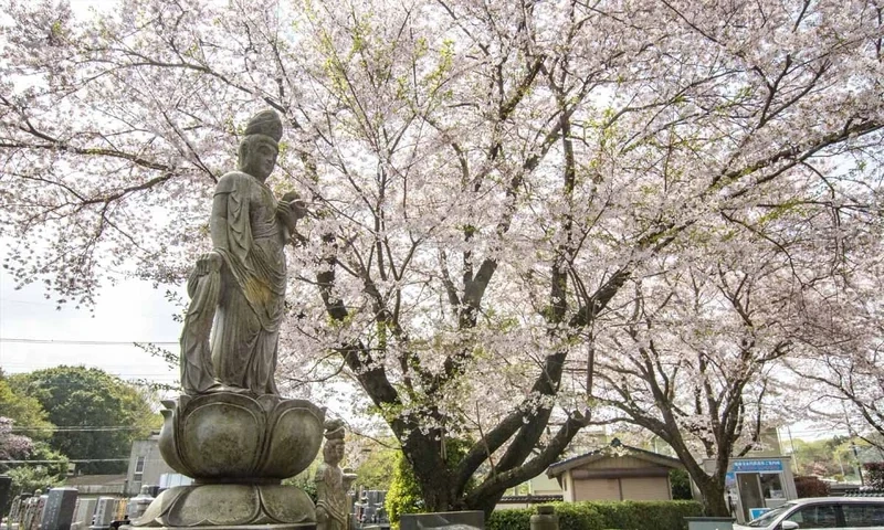 延命寺墓苑 永代供養墓・樹木葬 