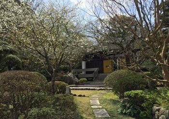 ペットと一緒に眠れる寺院墓地