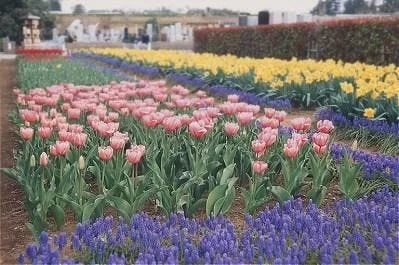 伊奈聖地霊園 永代供養墓「縁の丘」・自然葬墓「四季のやすら樹」 