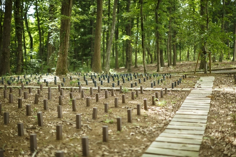 茨城県全ての市 常陸国出雲大社