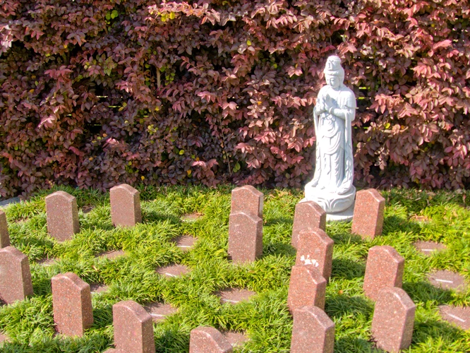 佐野大仏観音寺 永代供養樹木葬墓苑の写真
