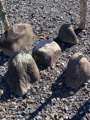 プレミアム「野木ほたるの水辺」樹木葬墓地 