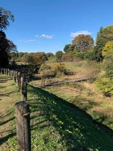 プレミアム「野木ほたるの水辺」樹木葬墓地 