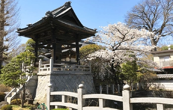 豊かな自然と落ち着いた雰囲気の霊園