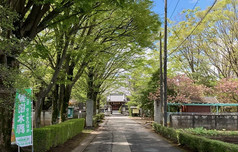 「愛樹木葬」下都賀樹木葬墓地 参道