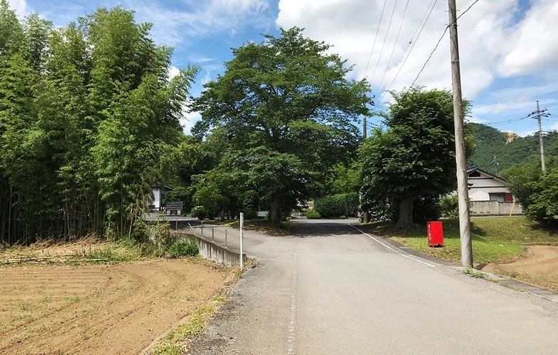 「愛樹木葬」佐野樹木葬墓地 墓地に続く道