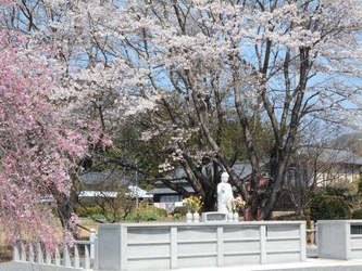 四季彩る霊園