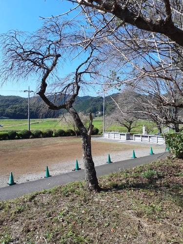 正光寺 日向霊園 