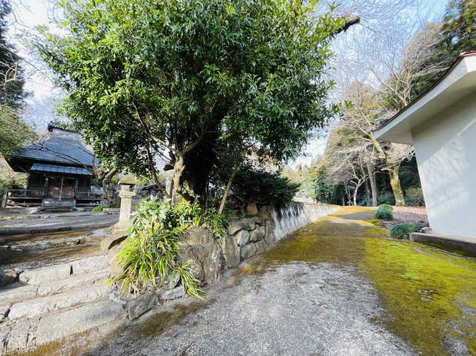 正光寺 日向霊園 園内風景