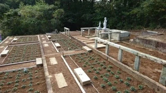 樹木葬墓地