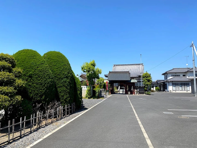 観性寺 のうこつぼ 駐車場の写真