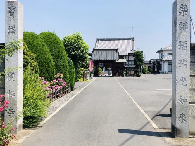 館林市 観性寺 のうこつぼ