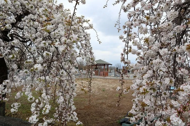 渋川市 ふじみ佳葉霊園