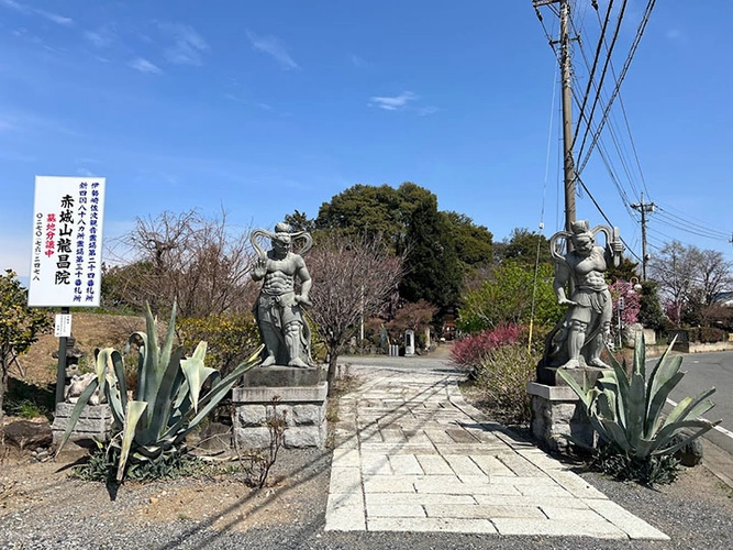 前橋市 龍昌院 のうこつぼ