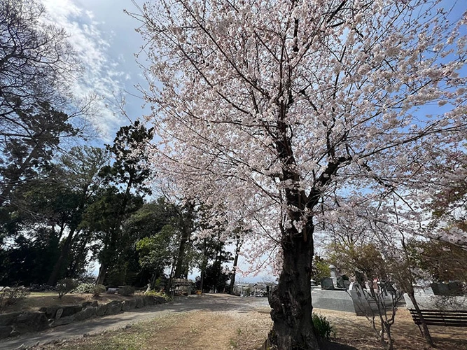 伊勢崎市 龍昌院 のうこつぼ