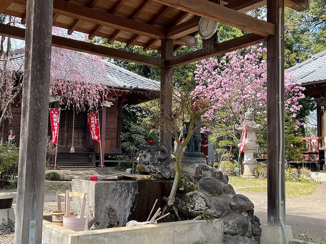 龍昌院 のうこつぼ 