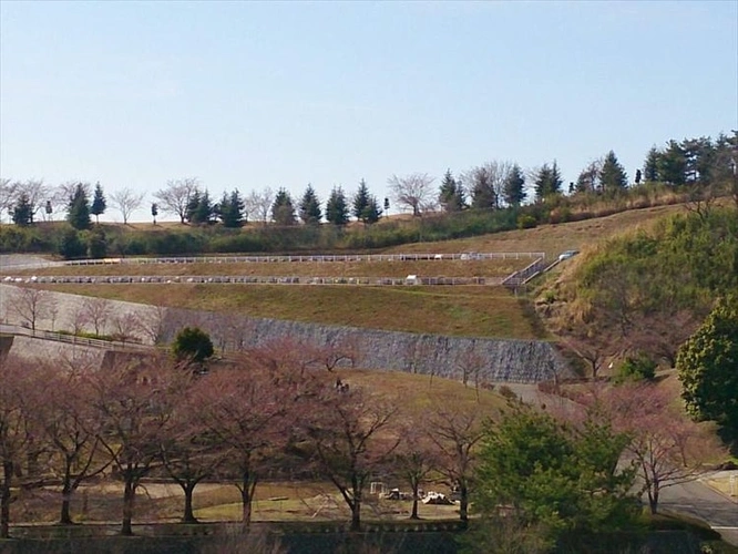 太田市営 八王子山公園墓地 風景