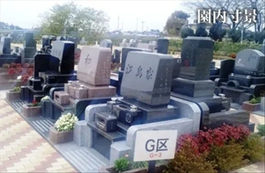 G区
