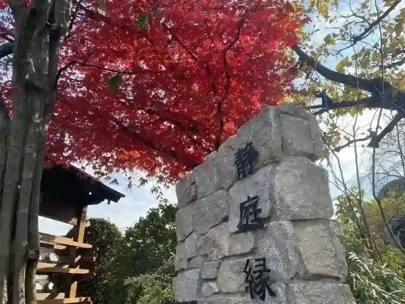 秋には綺麗な紅葉が咲きます