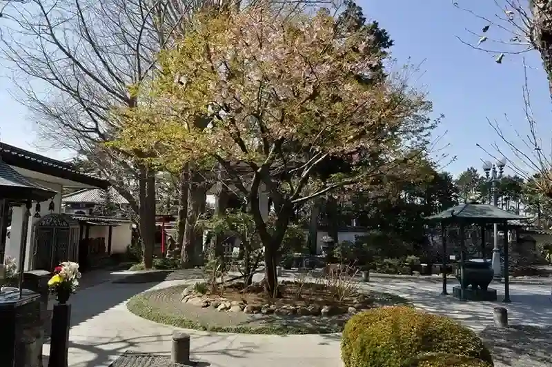 普門院　永代供養付墓いつくしみ 