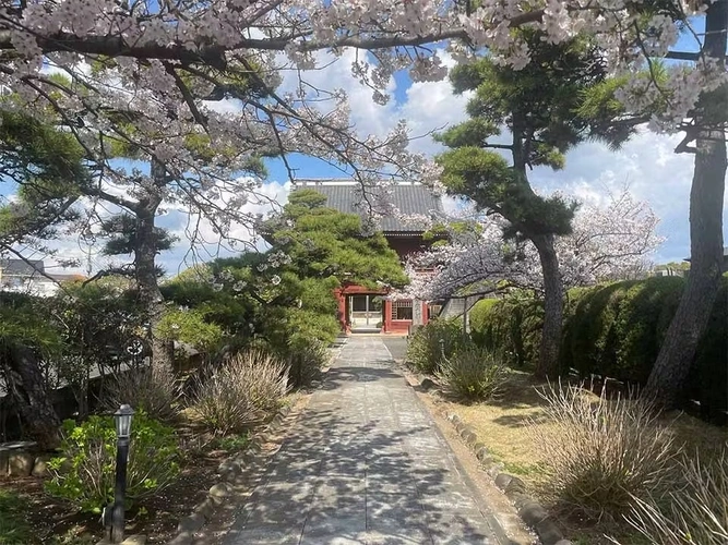 市川市 徳願寺 のうこつぼ