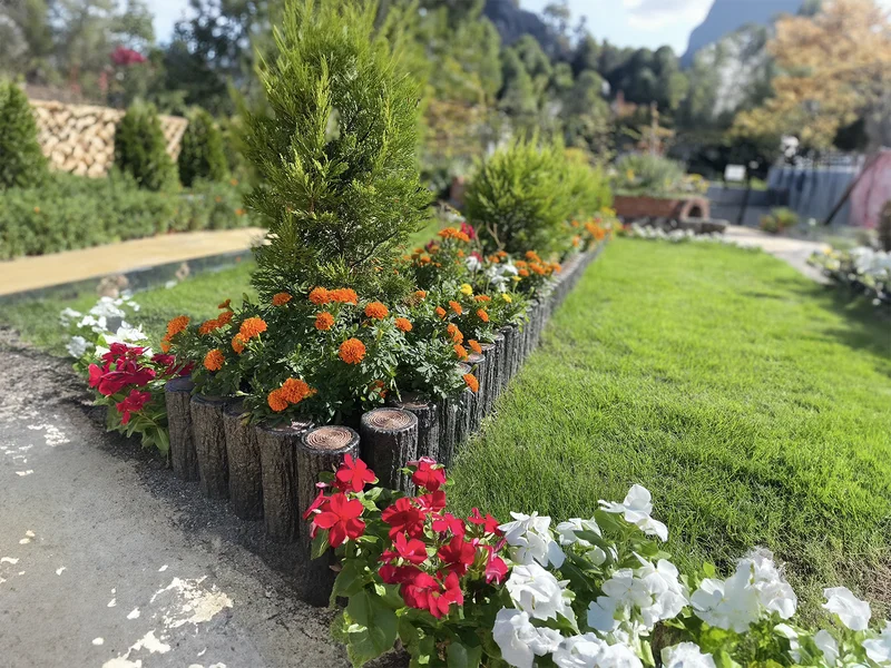 美しい季節の花々