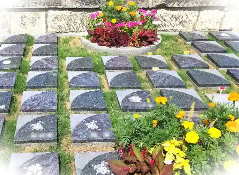 栃木県全ての市 プレミアムおやま思川樹木葬墓地