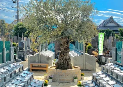 練馬区 杉並 樹木葬 オリーブ光の庭園/合葬墓