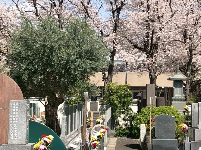 杉並 樹木葬 オリーブ光の庭園/合葬墓 