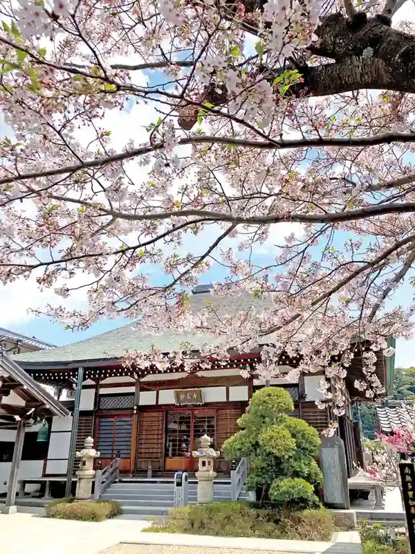 豊かな自然と落ち着いた雰囲気の霊園