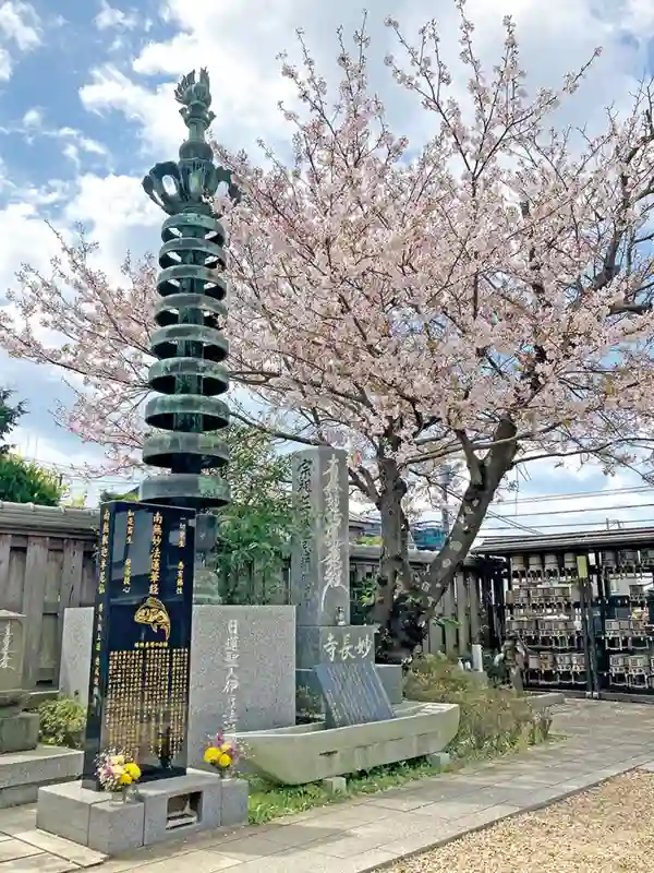 鎌倉材木座樹木葬墓地「星あかり」 