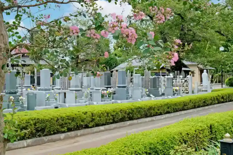 野田市 真光寺墓地
